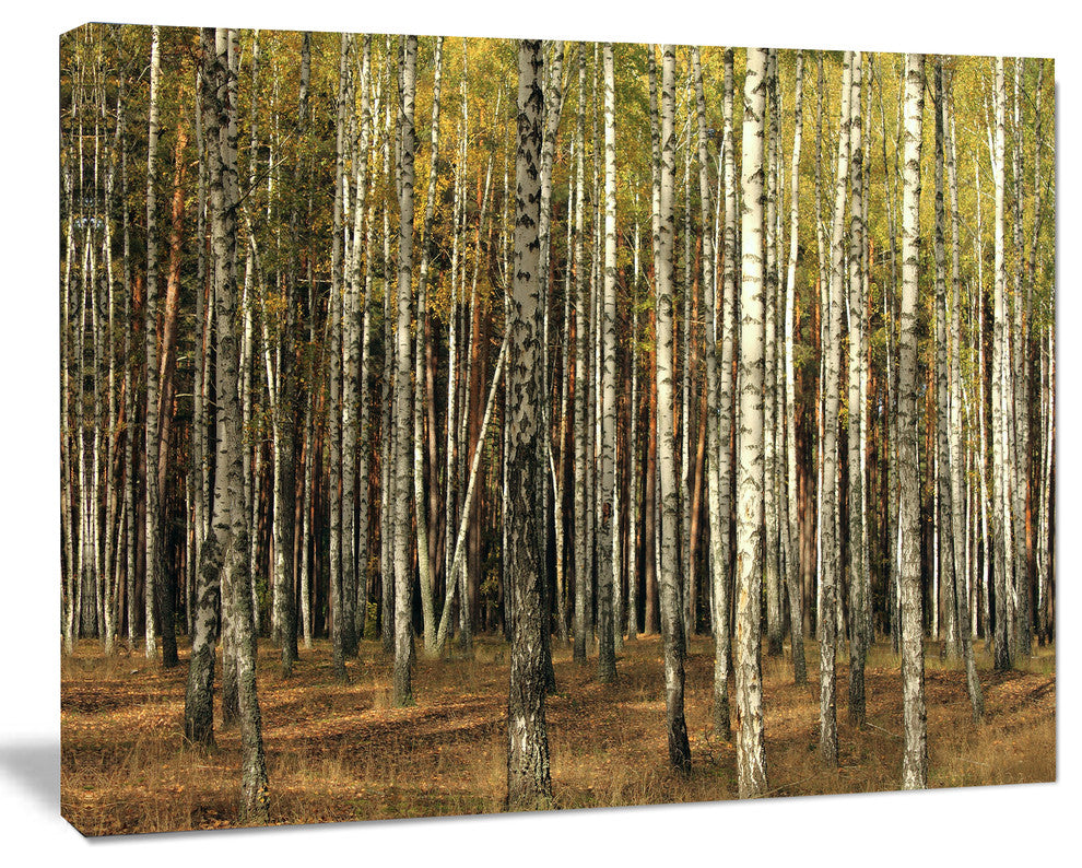 Green Fall Forest with Thick Trees, Forest Canvas Art Print, 40"x30"