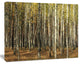 Green Fall Forest with Thick Trees, Forest Canvas Art Print, 40"x30"