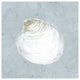 "Serene Shells II" Digital Paper Print by James Wiens, 32"x32"