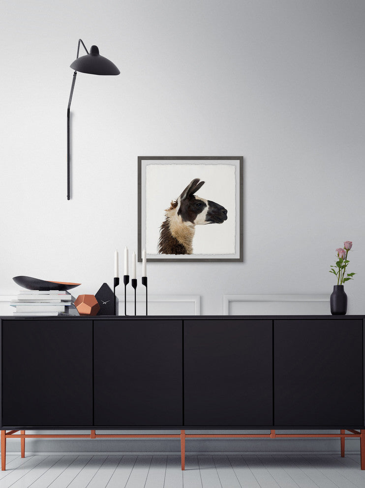 "Llama Profile" Framed Painting Print, 12"x12"
