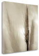 "Florison - 53" By Alan Blaustein, Giclee Print on Gallery Wrap Canvas