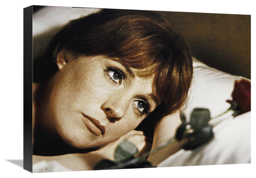 "Julie Andrews" Stretched Canvas Giclee by Hollywood Photo Archive, 22x16"