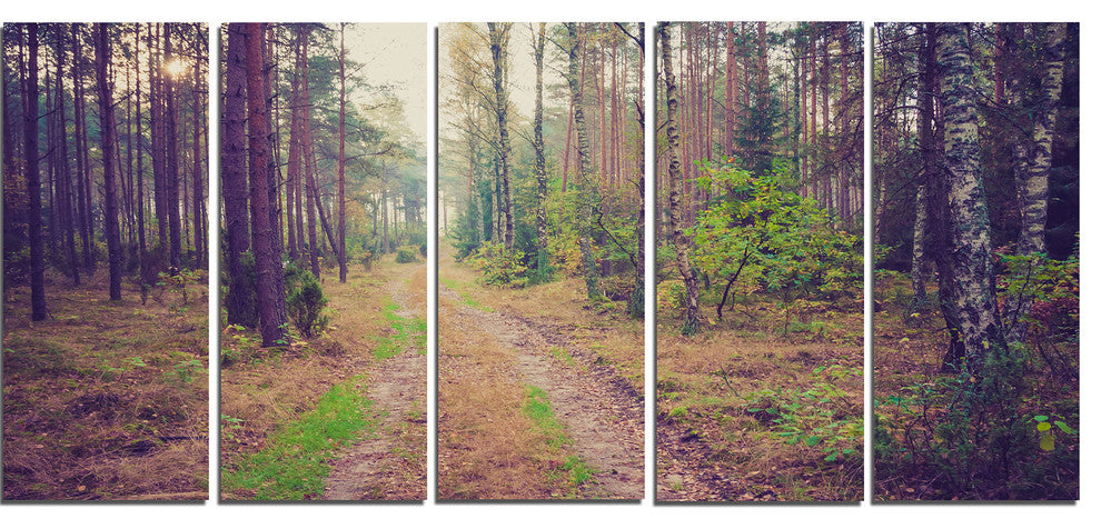 Straight Pathway in Thick Forest, Modern Forest Canvas Art, 60"x28", 5 Panels