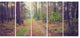 Straight Pathway in Thick Forest, Modern Forest Canvas Art, 60"x28", 5 Panels