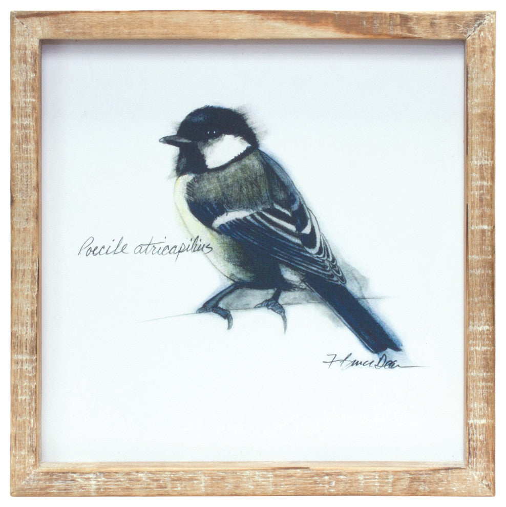 Framed Bird Print, 4-Piece Set