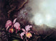 Martin Johnson Heade Two Orchids in a Mountain Landscape Wall Decal