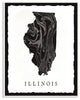 Black and Grey Marbled Paper Illinois State Silhouette Wall Plaque Art, 10"x15"