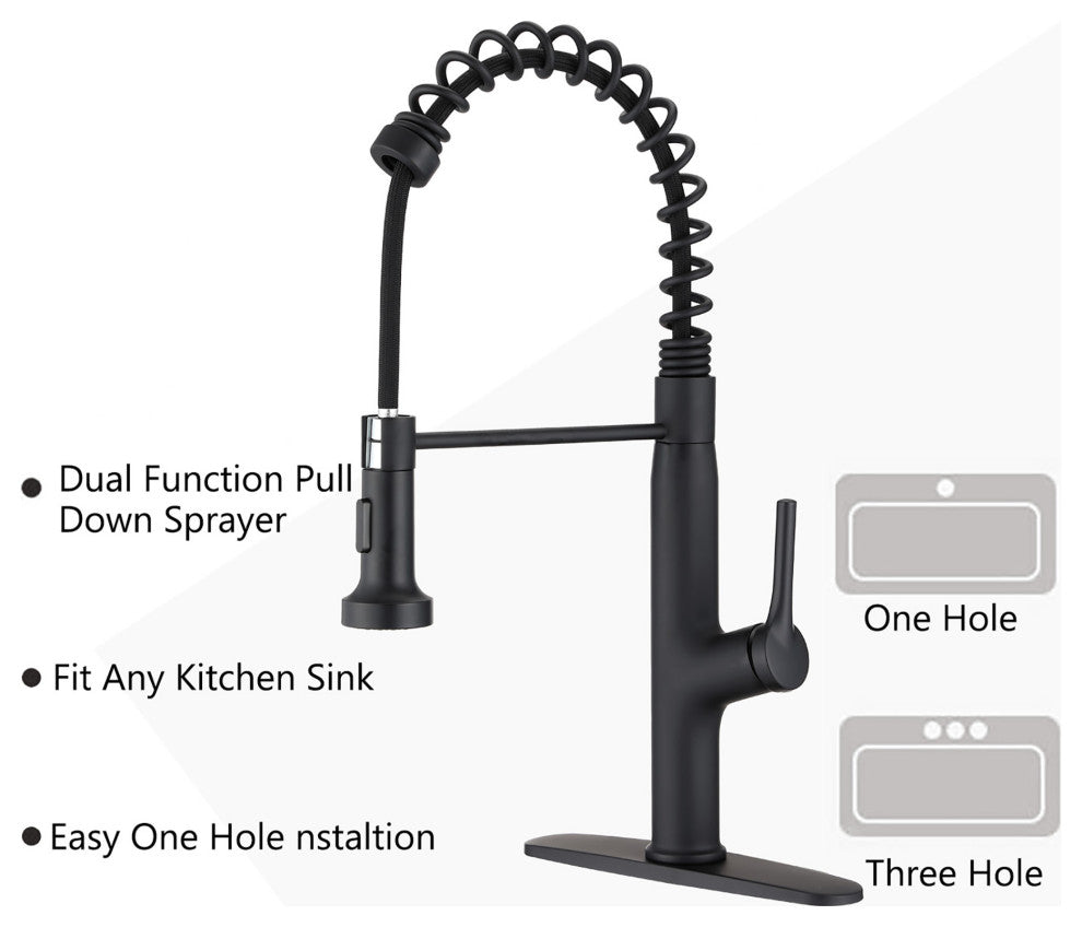 Single Handle Deck Mounted Spring Neck Kitchen Faucet with Pull out Sprayer, Mat