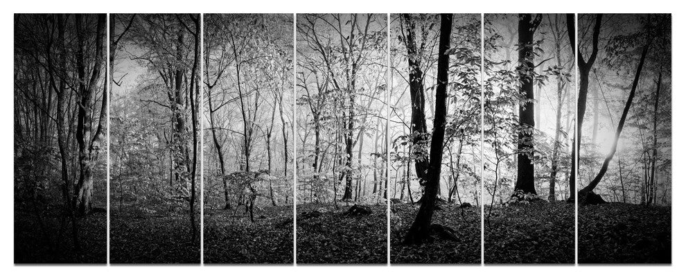 Morning in Thick Fall Forest, Landscape Canvas Art Print, 83"x32", 7 Panels