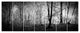 Morning in Thick Fall Forest, Landscape Canvas Art Print, 83"x32", 7 Panels