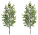 Pine Spray, Set of 2