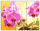 Blooming Purple Orchid Flowers, Floral Triptych Canvas Print, 36x28, 3 Panels