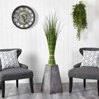Another lifestyle scene showing the plant on a pedestal in a styled room, providing scale and real-use context.