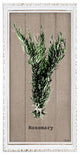 Rosemary Wrapped Canvas Botanical Kitchen Wall Art