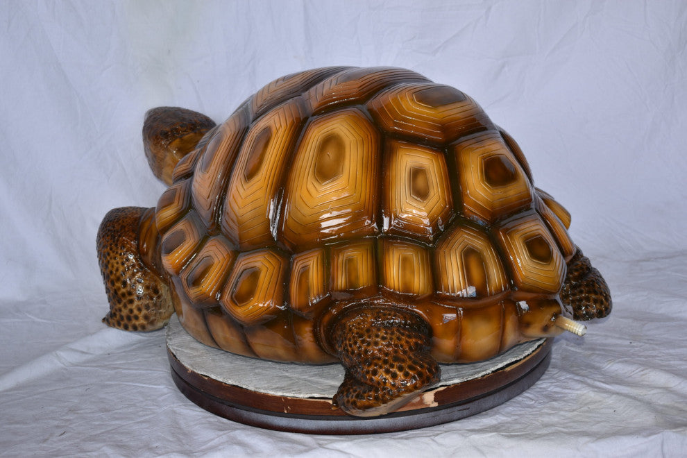Giant Tortoise Turtle Fountain Brown Finish Bronze Statue 24" x 38" x 16"H