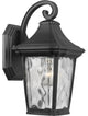 Marquette Collection 1-Light Small Wall Lantern with DURASHIELD