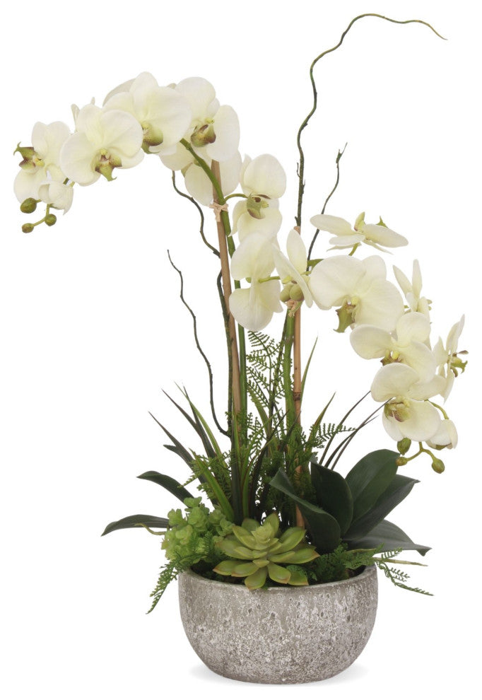 Cream/Green Orchids Flower Arrangement, Round Pot