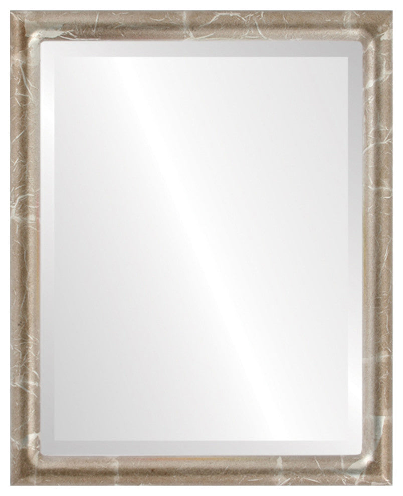 Pasadena Framed Rectangle Mirror, Champagne Silver, 21"x25"