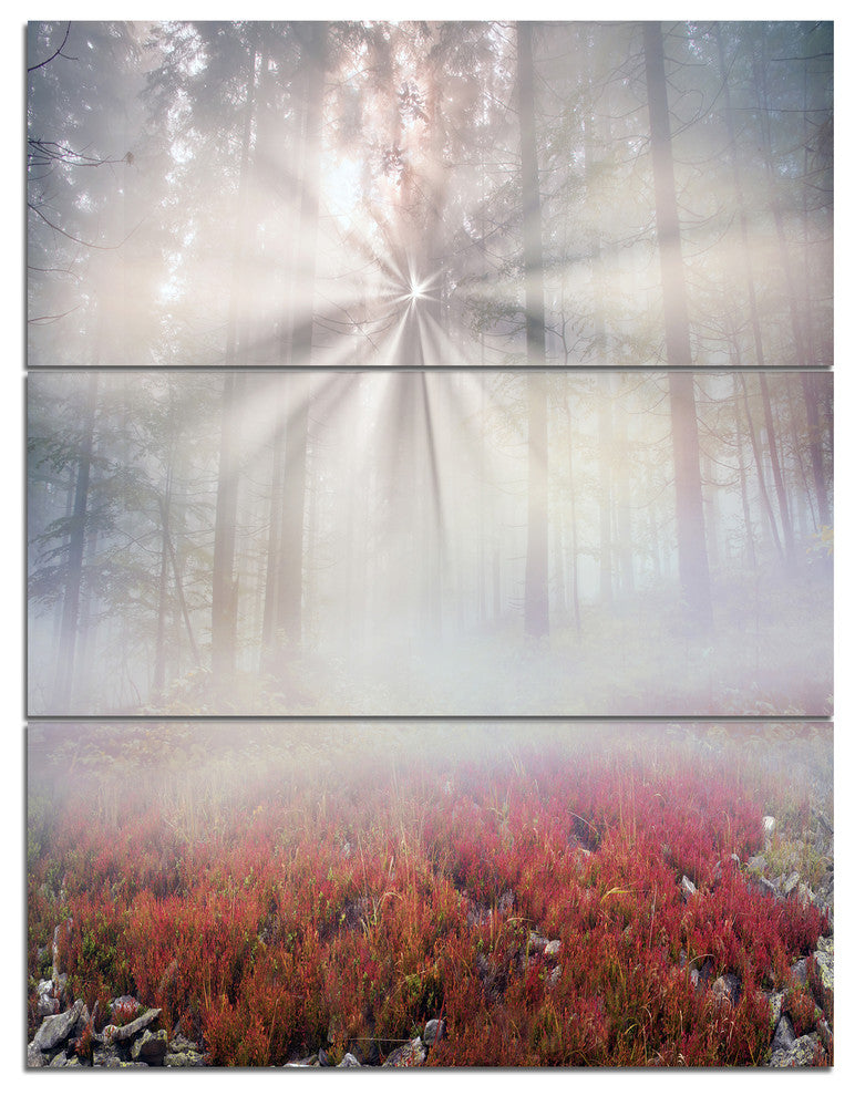 "Sun Rays Illuminating Foggy Forest" Photo Wall Art, 3 Panels, 28"x36"