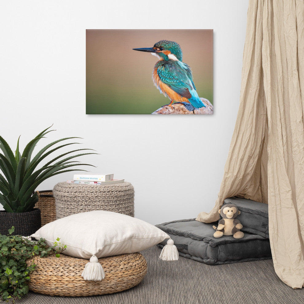 Common Kingfisher Bird on Perch Animal Wildlife Photograph Canvas Wall Art Print, 24" X 36"