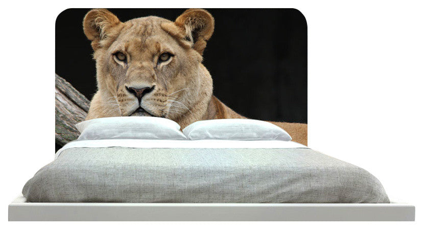 "Lion 34" Headboard