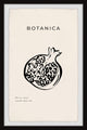 "Botanica Pomegranate" Framed Painting Print, 16x24