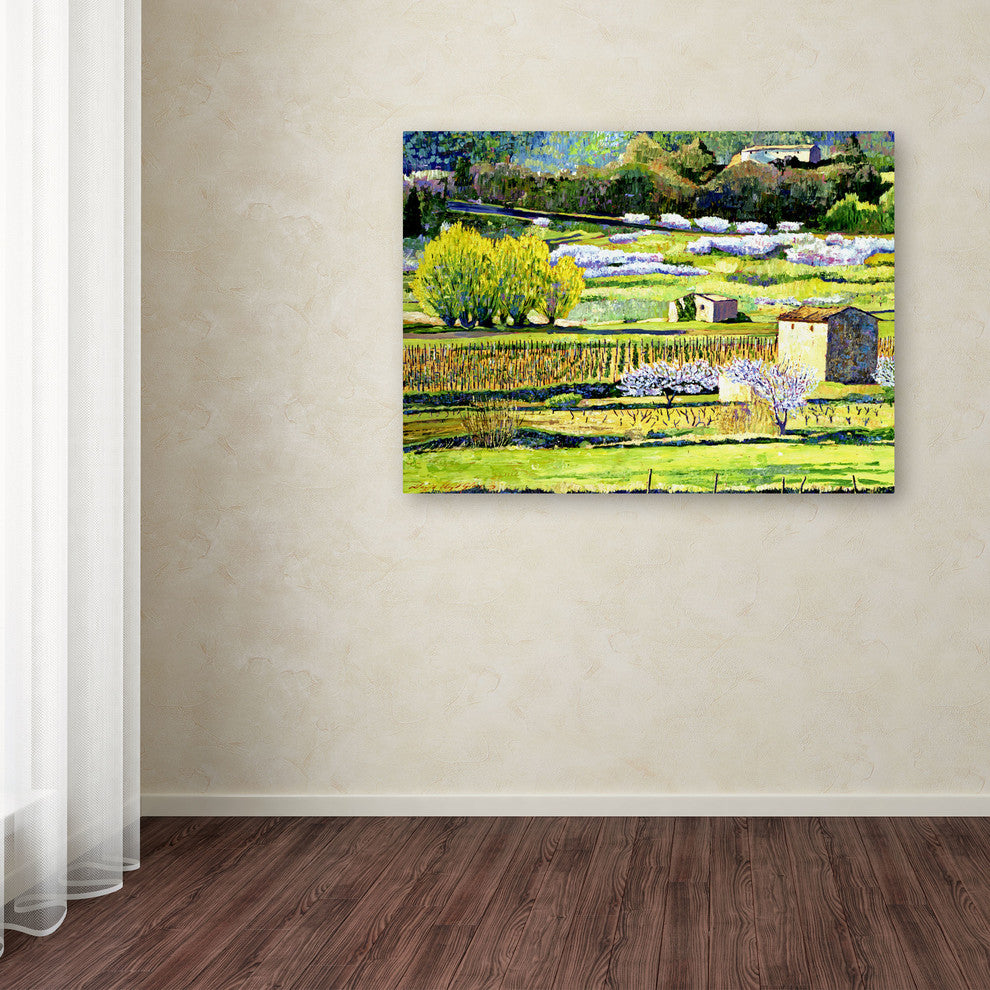 'Bordeaux Vineyards in Spring' Canvas Art by David Lloyd Glover
