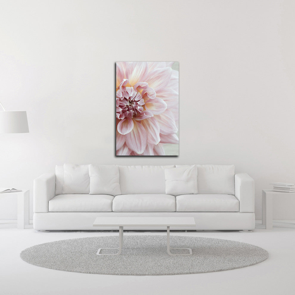 Blush Pink Dahlia by Brooke T. Ryan, Print on Canvas, 16"x24"