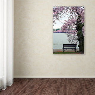 CATeyes 'Tranquility' Canvas Art, 12x19