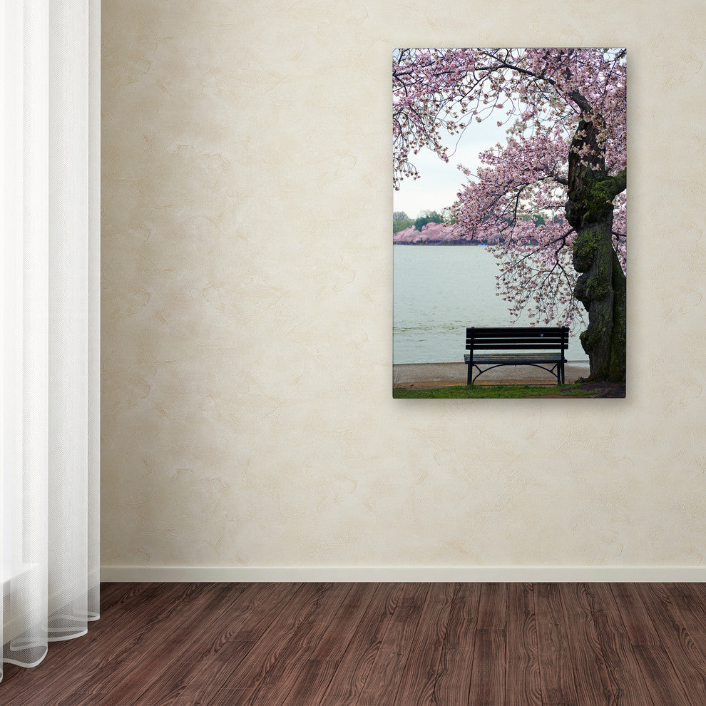 CATeyes 'Tranquility' Canvas Art, 12x19
