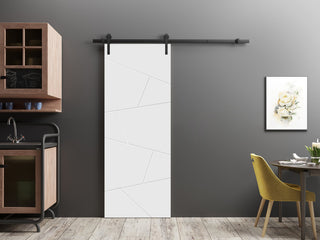 Barn Door 42 x 80 | Planum 0990 Painted White | 8FT
