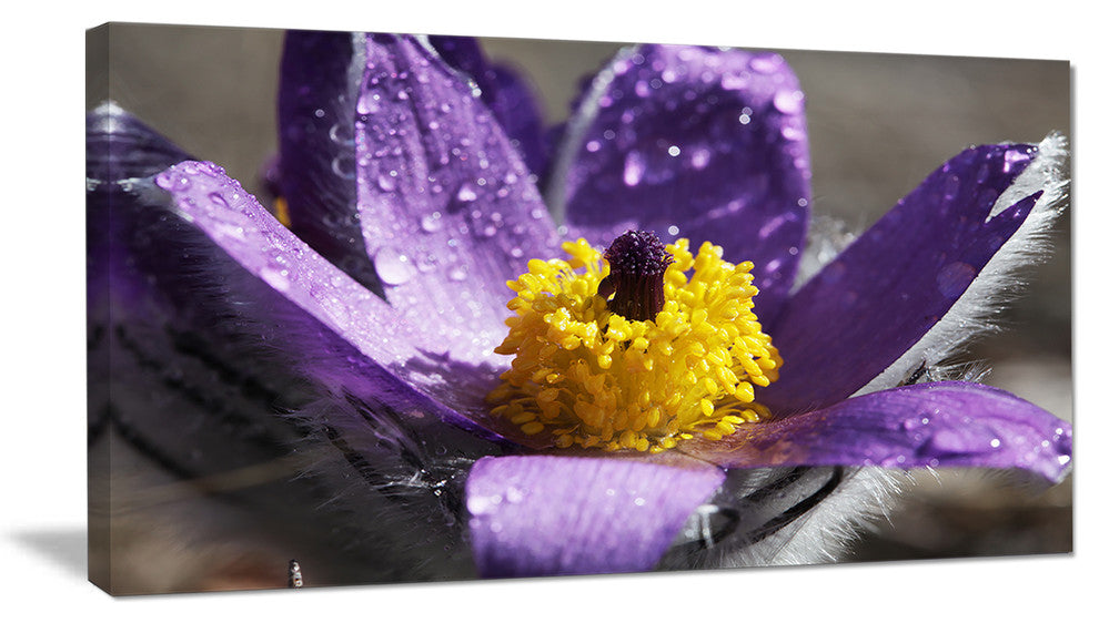Purple Flower with Yellow Stigma, Floral Canvas Art Print, 32"x16"