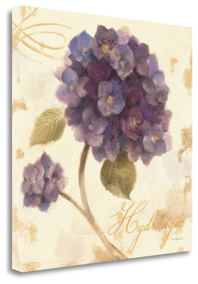 "Abundant Hydrangea I" By Albena Hristova, Giclee Print on Gallery Wrap Canvas