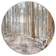 Dense Forest In The Winter Photography, Forest Round Wall Art, 11"