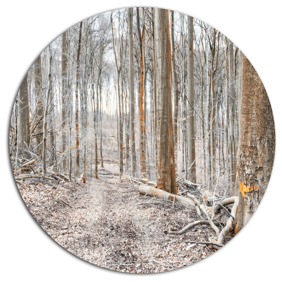 Dense Forest In The Winter Photography, Forest Round Wall Art, 11"