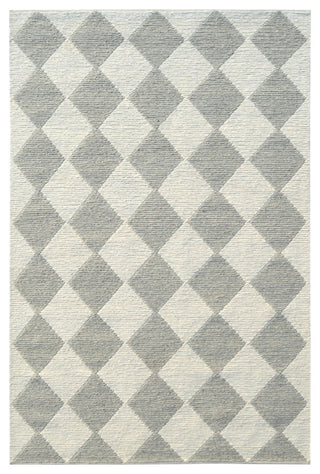 Dynamic Rugs Ava Wool Handmade Area Rug, Ivory Gray, 8'x10'