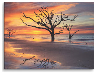 Sunrise & Trees At Edisto Island Coastal Landscape Photo Canvas Wall Art Print, 12" X 16"