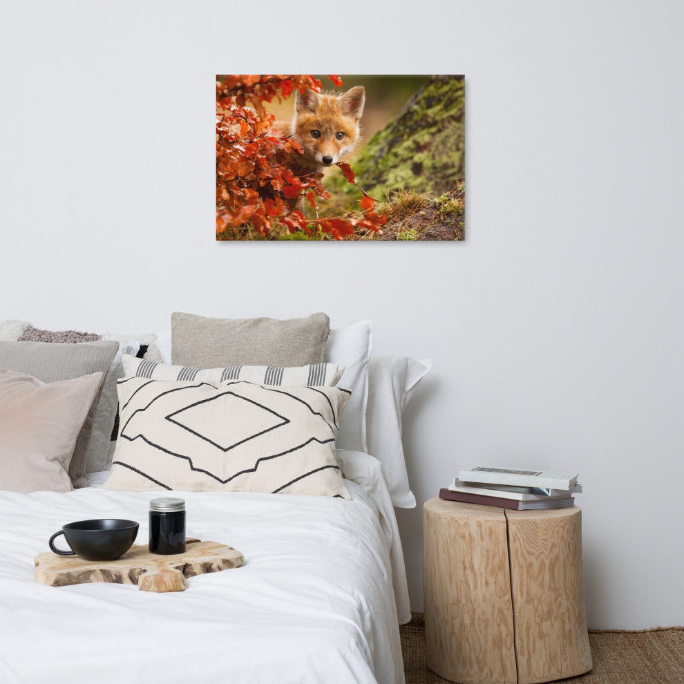 Baby Red Fox Face and Autumn Leaves - Forest Wildlife Photo Canvas Art Print, 24" X 36"