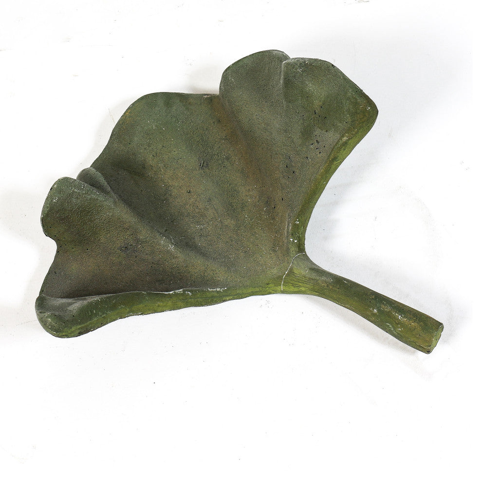 Ginko Leaf