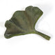 Ginko Leaf