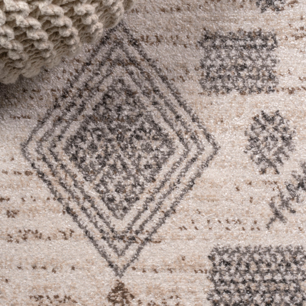 Bhalil Berber Diamond Geometric Beige/Gray 4 ft. x 6 ft. Area Rug
