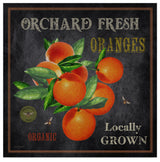 Jean Plout 'Orchard Fresh Oranges' Canvas Art