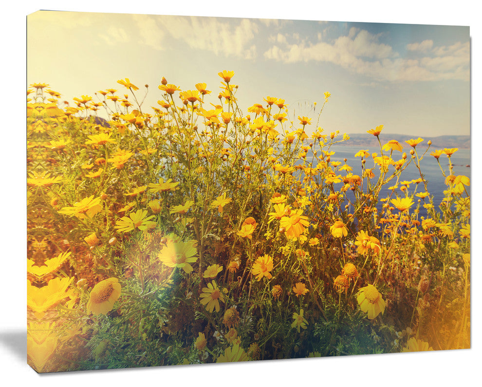Wild Yellow Flowers Meadow, Floral Canvas Art Print, 60"x28"