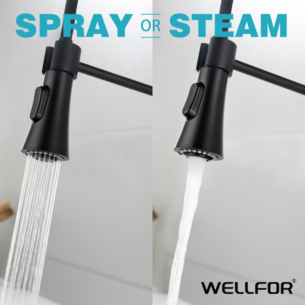 Wellfor Stainless Steel Pull Down Kitchen Faucet With Deck Plate, Matte Black