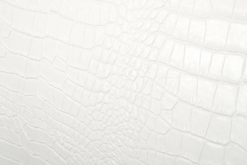 HomeRoots 46" White MDF and Steel Queen Bed