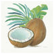 "Coconut Palm III" Digital Paper Print by Mary Urban, 26"x26"