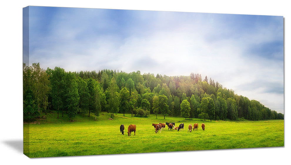 Cows on Field Panorama, Landscape Canvas Art Print, 32"x16"