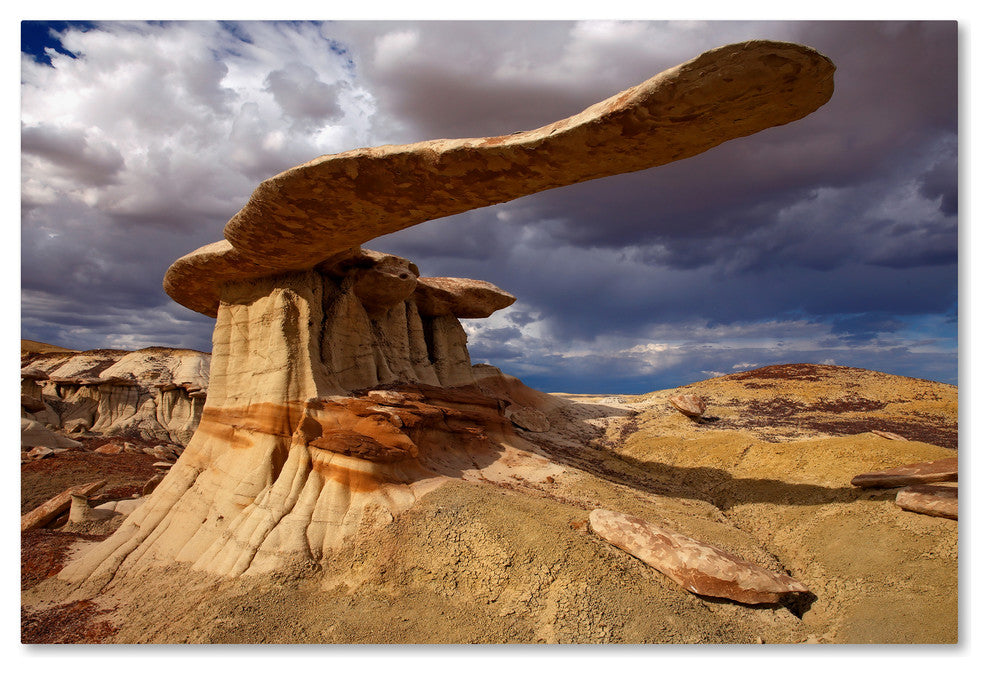 Mike Jones Photo 'NM Ah-shi-sle-pah King Of Wings' Canvas Art, 30x47