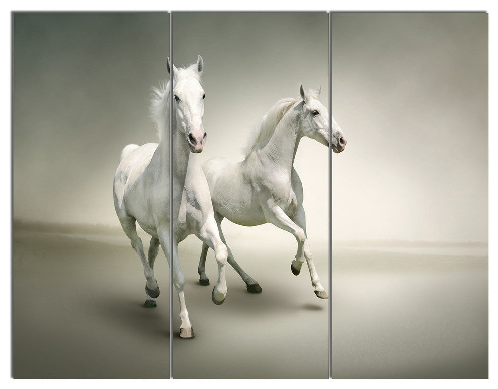 Fast Moving White Horses, Animal Triptych Canvas Art Print, 36x28, 3 Panels
