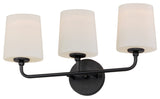Maxim 12093SW Bristol 3 Light 21"W Vanity Light - Black